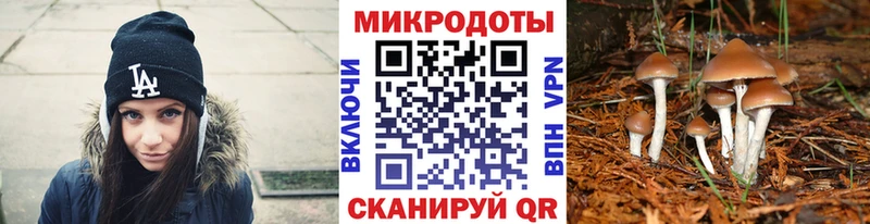 цена   сайты даркнета состав  Псилоцибиновые грибы Psilocybine cubensis  Кимры 